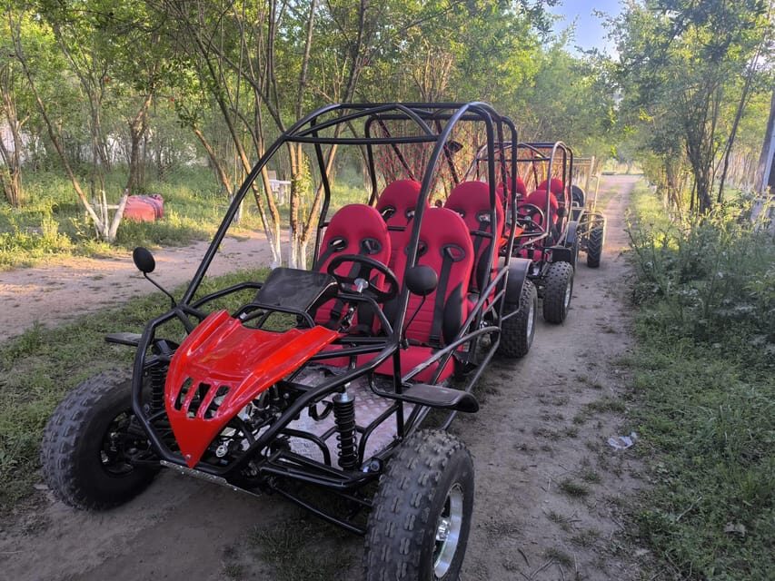 Alanya Buggy Safari: Thrill by River & Muddy Forest - Standard vs Family Buggies: Who Drives and Who’s Responsible