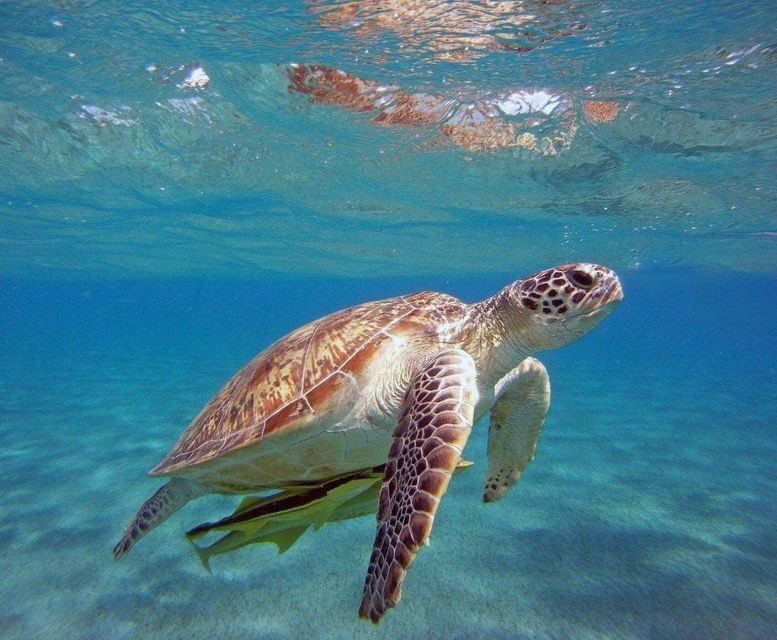 Alanya Coastal Cruise: Sun, Swim & Scenic Views - Tersane Beach Stop: Photos, Snacks of Time, and Your First Splash
