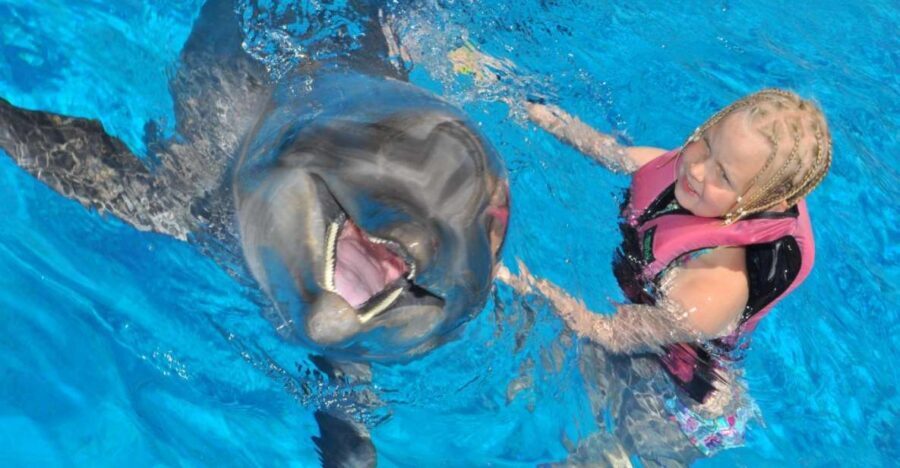 Alanya: Dolphin and Seal Show Ticket with Hotel Transfers - Key Highlights You’ll Actually Care About