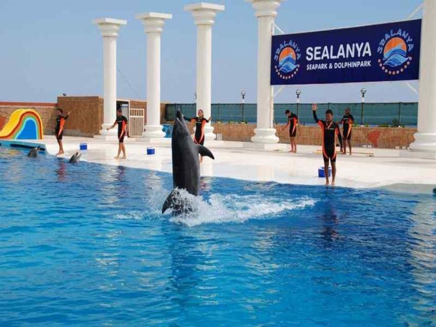 Alanya: Dolphin and Seal Show Ticket with Hotel Transfers - Getting To Sealanya Dolphinpark From Alanya Hotels