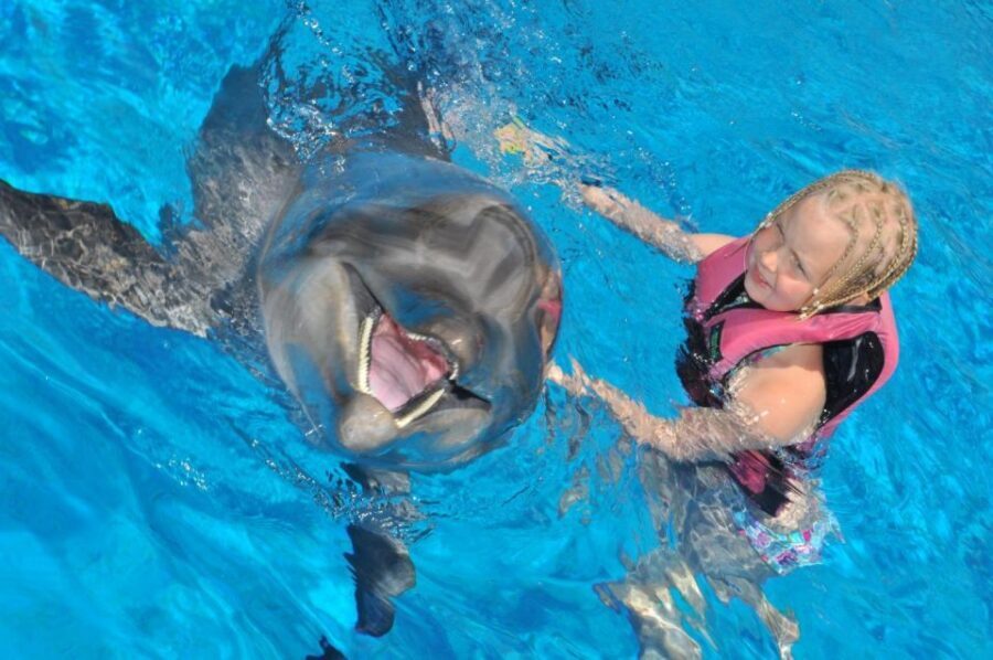 Alanya: Dolphin and Seal Show Ticket with Hotel Transfers - Where To Sit: Splash Zone Strategy and Photo Reality Check