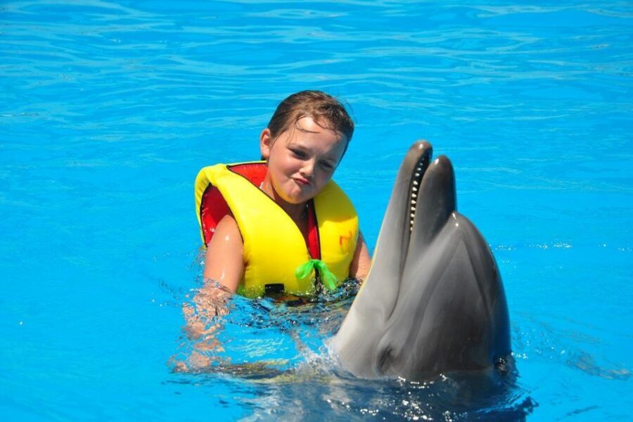 Alanya: Dolphin and Seal Show Ticket with Hotel Transfers - Price and Value: What $40 Buys (and What It Doesn’t)