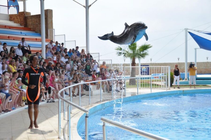 Alanya: Dolphin and Seal Show Ticket with Hotel Transfers - Who This Tour Suits Best (and Who Should Rethink It)