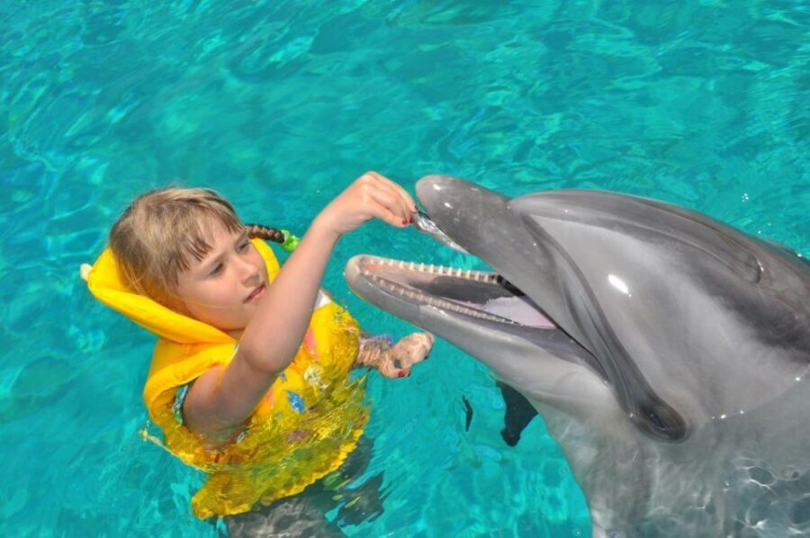 Alanya: Dolphin and Seal Show Ticket with Hotel Transfers - Should You Book Alanya Dolphin and Seal Show Tickets With Transfers?