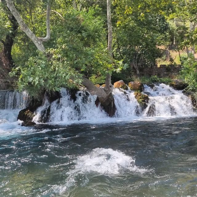Alanya Family Jeep Safari: Scenic Adventure for All Ages - Dim River Lunch and Swim: The Best Payoff in the Day