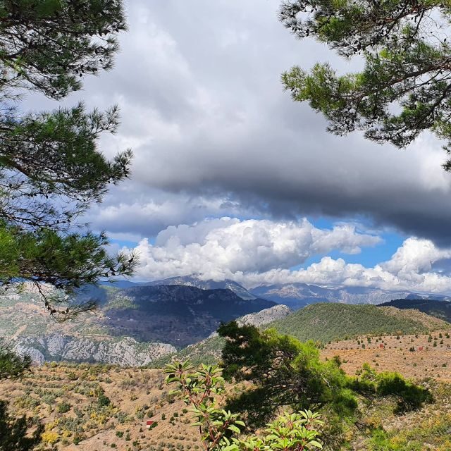 Alanya Family Jeep Safari: Scenic Adventure for All Ages - Meeting Point and Timing: Pickup Around 9, Back Around 5
