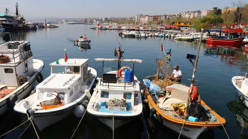 Alanya: Fishing Tour with Lunch and Hotel Transfers - Key things I’d pay attention to