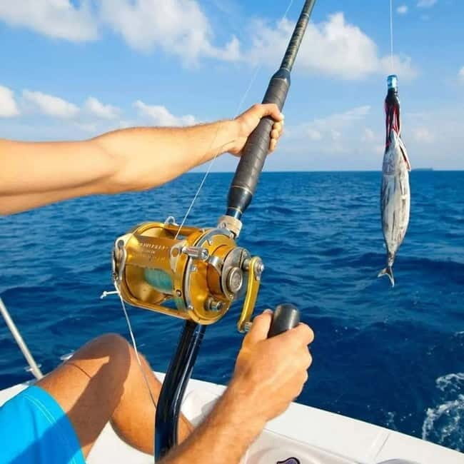 Alanya: Fishing Tour with Lunch and Hotel Transfers - Price and value: what $85 buys you in Alanya