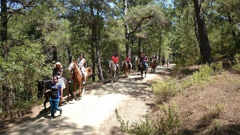 Alanya: Horse Riding Adventure - Key things to know before you saddle up
