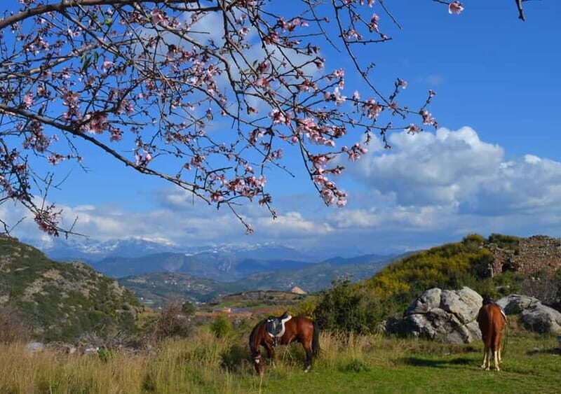 Alanya: Horse Riding Adventure - The Taurus Mountains ride: peninsula views and banana-garden scenery