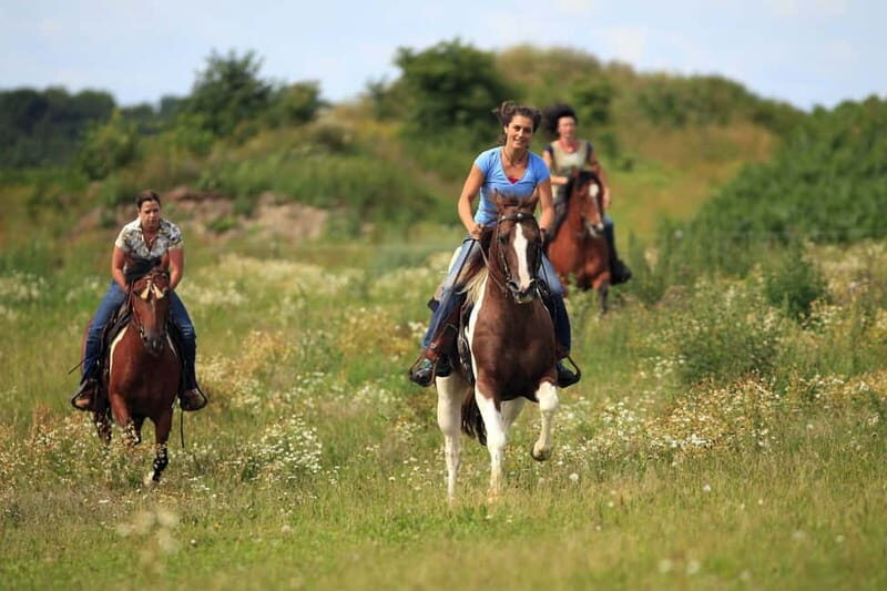 Alanya: Horse Riding Adventure - Orientation plus rescued-horse care: what that feels like