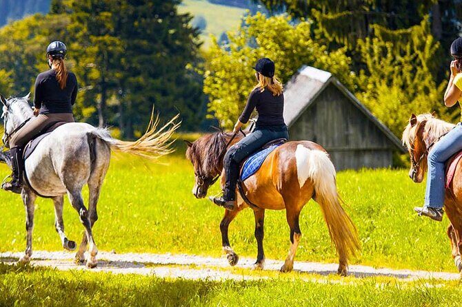 Alanya Horse Riding Experience With Free Hotel Transfer - Free hotel transfer and small-group pacing that keeps it sane