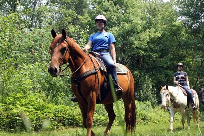 Alanya Horse Riding Experience With Free Hotel Transfer - Safety and comfort: what to do to have a good ride