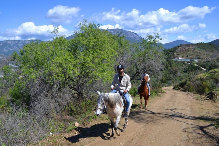 Alanya: Horse Riding Tour - Key highlights you’ll feel right away