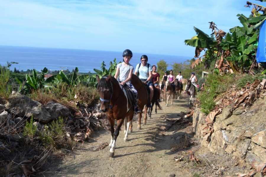 Alanya: Horse Riding Tour - Should you book Alanya’s Horse Riding Tour?
