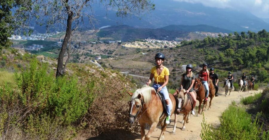Alanya: Horse Riding Tour - From Alanya to Seki village: the day starts with timing and comfort