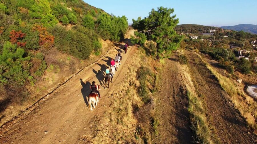 Alanya: Horse Riding Tour - Tea at the horse farm and the return shuttle to Alanya
