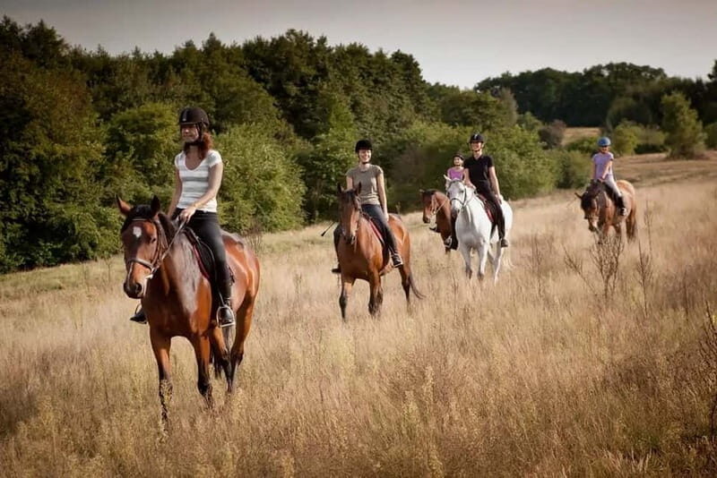 Alanya: Horse Riding Tour with Hotel Transfers - Alanya-to-Seki: the transfer that makes this ride easy