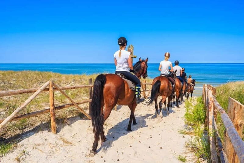 Alanya: Horse Riding Tour with Hotel Transfers - Meeting the trainers: how the tour handles first-timers