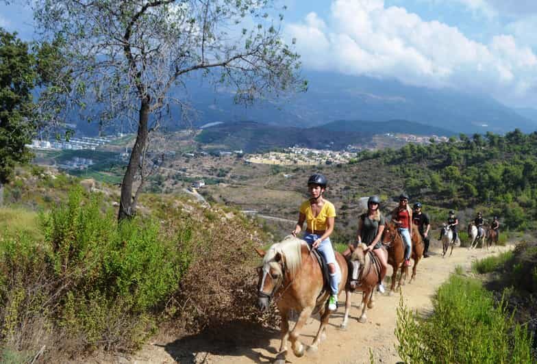 Alanya: Horse Riding Tour - Meeting the horses at the Horse Club: what equipment covers (and what it doesn’t)