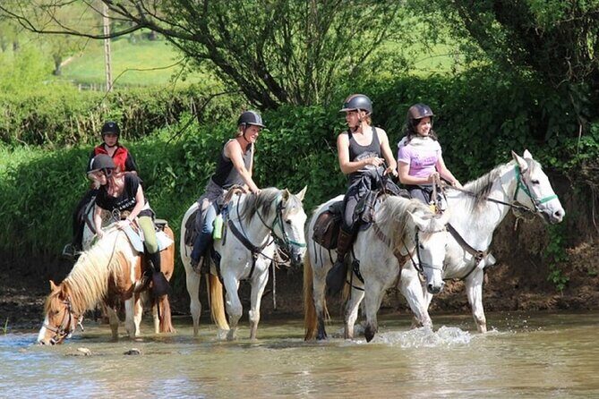 Alanya Horseback Riding in the Taurus Mountains with Transfer - Getting There Smoothly: Pickup, Vehicle Ride, and Timing