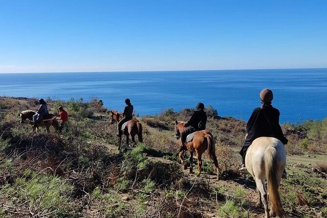 Alanya Horseback Riding in the Taurus Mountains with Transfer - Price and Value: What You Get for About $74.72