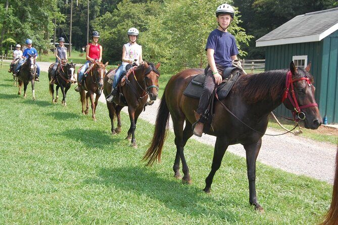 Alanya Horseback Riding in the Taurus Mountains with Transfer - The Stables at Alanya Belediyesi Park: Meet the Horses and Get Instructions