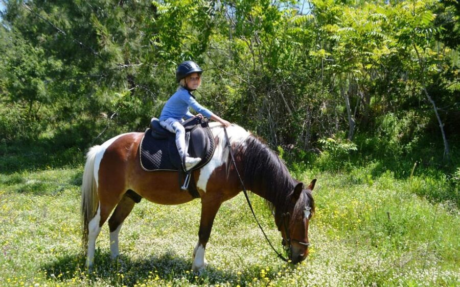Alanya: Private Horse Safari - What’s included in the $77 price (and what you must add)