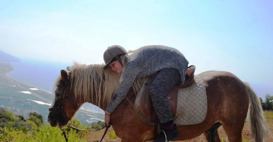 Alanya: Private Horse Safari - Who this horseback safari suits best
