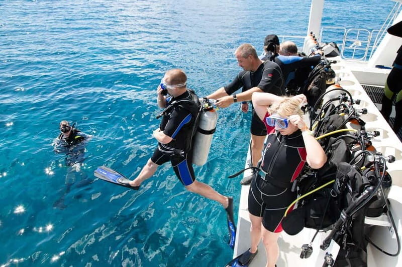 Alanya: Scuba Diving Adventure for Beginners & Professionals - Key things I’d circle before you book