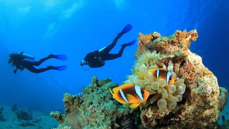 Alanya: Scuba Diving Adventure for Beginners & Professionals - What you get for $51: the value math that actually matters