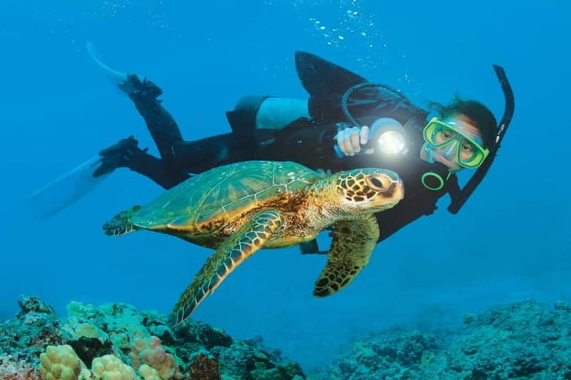 Alanya: Scuba Diving Adventure for Beginners & Professionals - Why this Alanya scuba tour feels like good value
