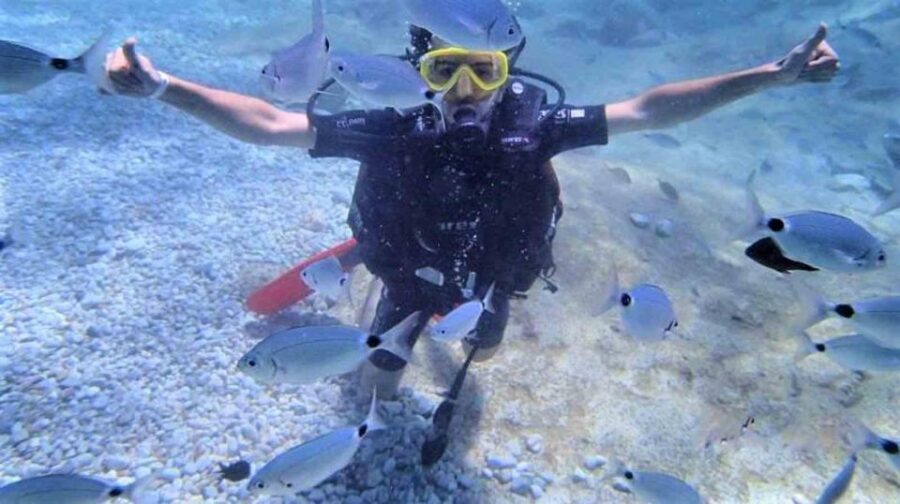Alanya: Scuba Diving Adventure for Beginners & Professionals - First underwater session at about 3–5 m: what to expect