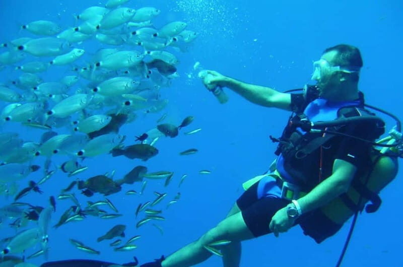 Alanya: Scuba Diving Adventure for Beginners & Professionals - Snorkeling option and boat time: smart pacing between sessions