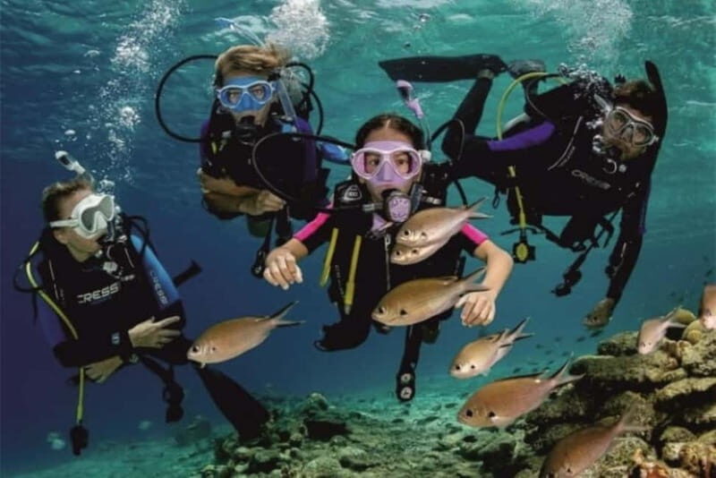 Alanya: Scuba Diving Adventure for Beginners & Professionals - Second underwater session at about 5–7 m: where you’ll likely remember more
