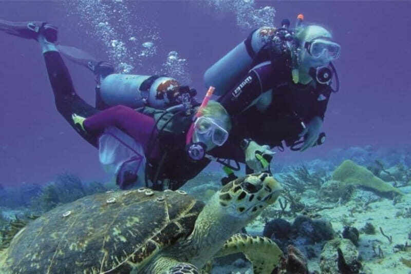 Alanya: Scuba Diving Adventure for Beginners & Professionals - Photo and video: plan for it, because it’s part of the process