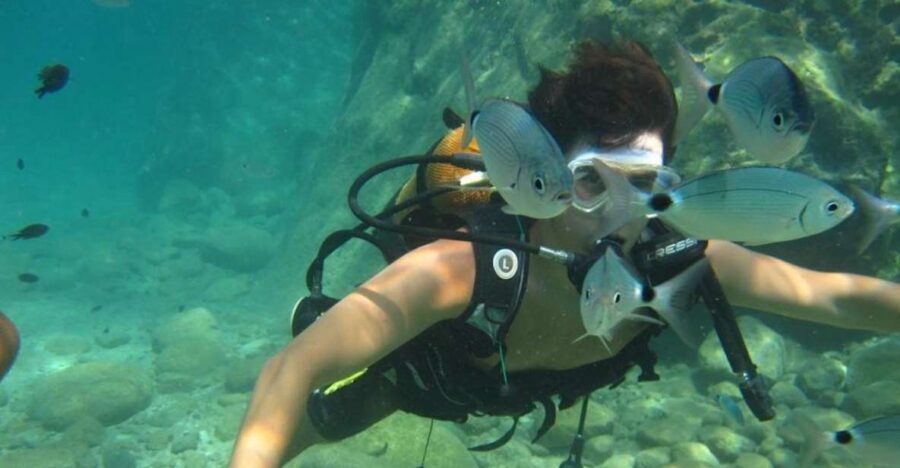 Alanya: Scuba Diving Experience with Lunch - From hotel pickup to Alanya Marina: how the day starts