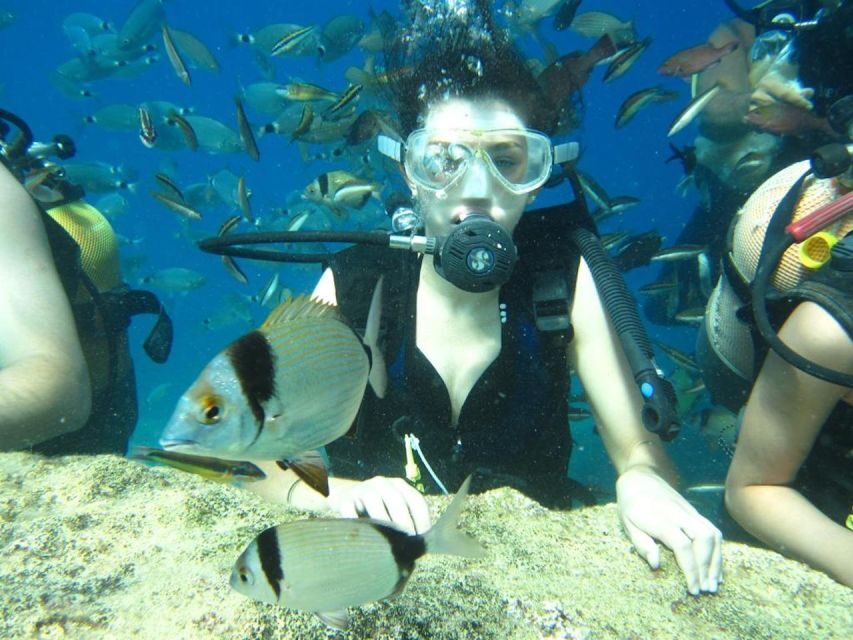 Alanya: Scuba Diving Experience with Lunch - Lunch on the boat between sessions: the practical break