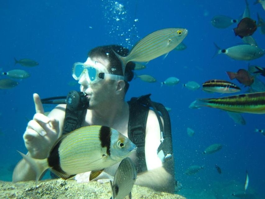 Alanya: Scuba Diving Experience with Lunch - Snorkeling included: how to get more sea time