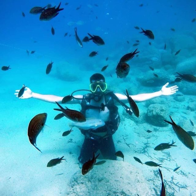 Alanya: Scuba Diving Experience with Lunch - A balanced look at quality and safety: what to watch for