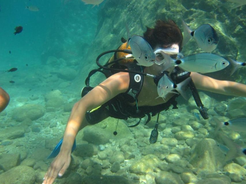 Alanya: Scuba Diving Experience with Lunch - Gear, briefing, and language: what you should confirm early