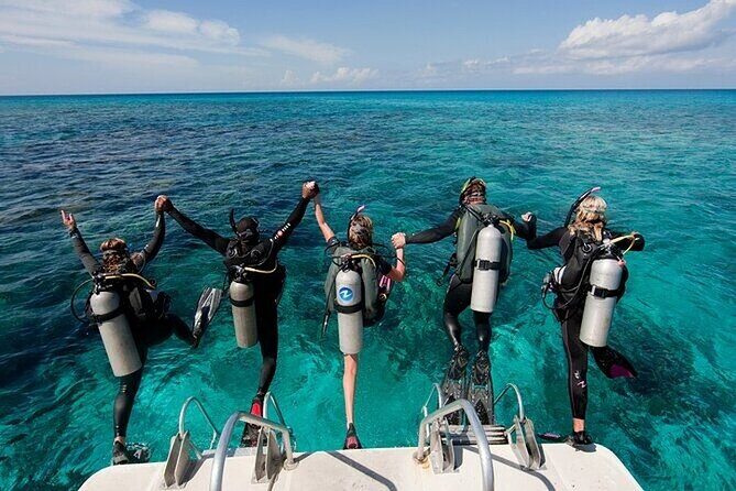 Alanya : Scuba Diving for Beginners w/ Lunch and Transfer - Key highlights worth your attention