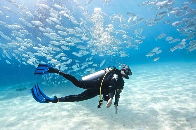 Alanya : Scuba Diving for Beginners w/ Lunch and Transfer - Alanya Pickup at 8:00 am: How the day starts