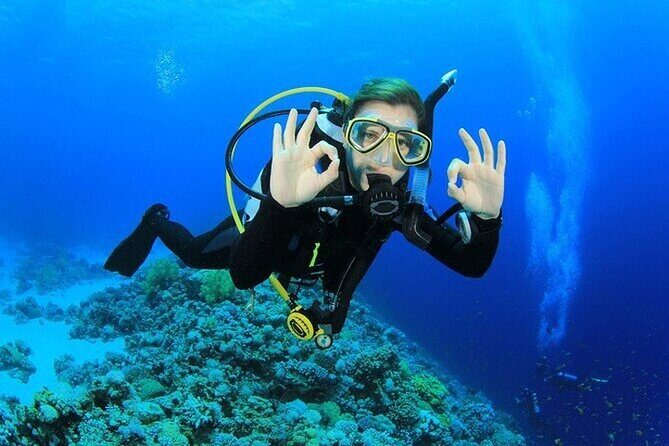 Alanya : Scuba Diving for Beginners w/ Lunch and Transfer - Equipment and the two-session format: what you’re really paying for