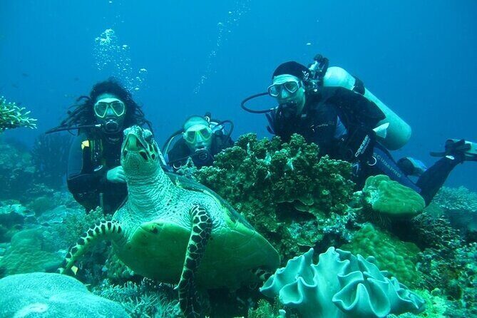 Alanya : Scuba Diving for Beginners w/ Lunch and Transfer - Price and value: is $36.04 worth it?