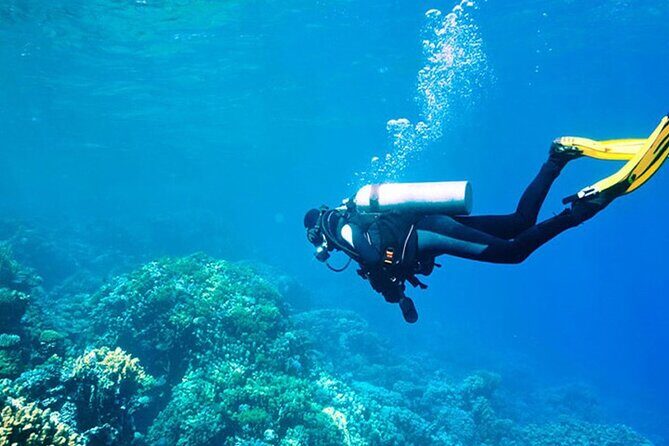 Alanya : Scuba Diving for Beginners w/ Lunch and Transfer - From the harbor to your first underwater session