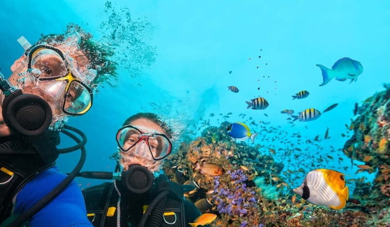 Alanya: Scuba Diving Tour With Lunch - Key highlights at a glance