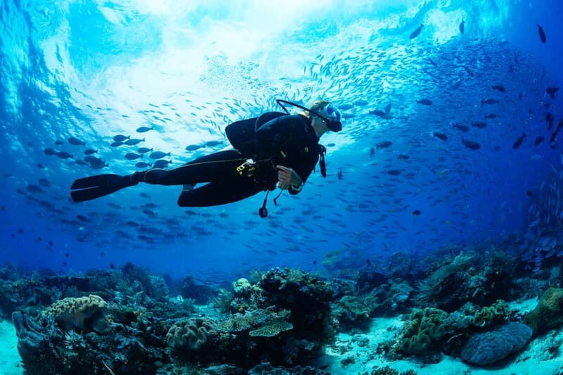 Alanya: Scuba Diving Tour With Lunch - Morning pickup and harbor ride: getting set up in Alanya