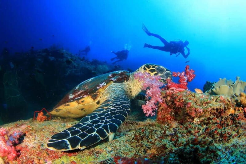 Alanya: Scuba Diving Tour With Lunch - First underwater session: how the entry works
