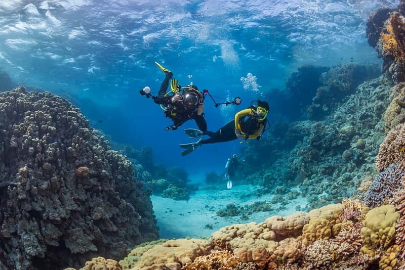 Alanya: Scuba Diving Tour with Lunch and Hotel Transfers - Key Highlights You’ll Feel on This Tour